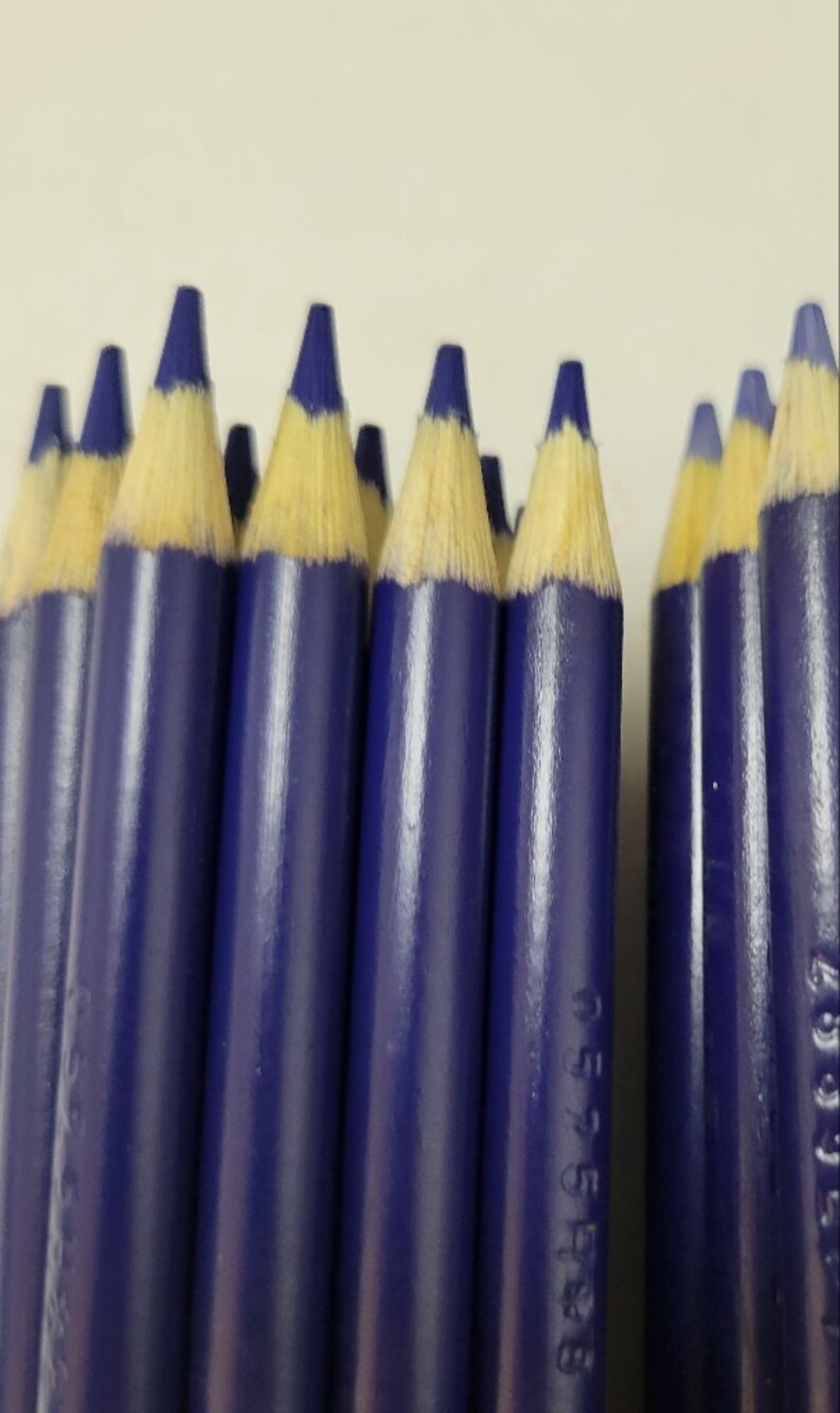 20ct Crayola Colored Pencils (Blue) Single Color Bulk Lot